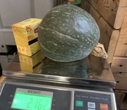 Dynia Hubbard Green 2 - 2,5 kg