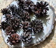 Szyszki Sosnowe Naturalne