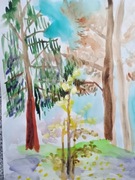 Jesień w parku, akwarela, A4, oryginalna, pejzaż 