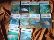 Magazyn Akwarium, 10 części