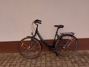 rower miejski damski Pegasus Avanti Nexus 7 LED amor x 2