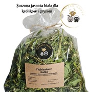 Suszone ziele jasnoty białej dla królika 100g-na zwiększenie apetytu