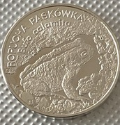 20 zł Ropucha paskówka