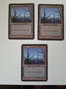 Swamp (341) Urza's Saga MTG land