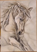 Biały koń obraz na płótnie 50x70cm praca artysty 
