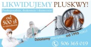 Pluskwy Międzyzdroje. Profesjonalna dezynsekcja