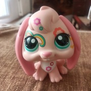 Pet shop zając kolekcjonerski 