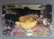 karta nr 1230 RRR rybka zebrasoma żółta