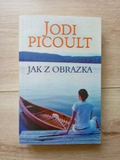 JAK Z OBRAZKA Jodi Picoult 