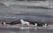 Siberian Husky - bransoletka z psem i łapką, 925