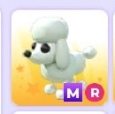 Adopt me! Poodle MEGA, ride