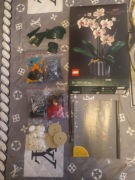 LEGO Creator Expert Orchidea 10311