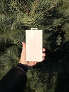 Silikonowe etui z MagSafe do iPhone’a 15 Plus