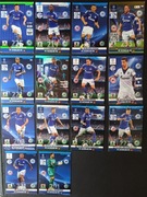 Panini Champions League 2014/15 zestaw Schalke
