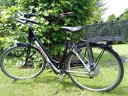 Elektryczny rower Koga