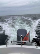 Bayliner 7m Łódź motorowa kabinowa + Yamaha 300KM (415h) | Webasto | Garmin