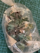 Drzewka na makietę diorama 20szt