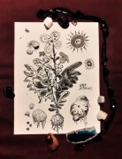 Duchowe Kwiecie i Trufle - rysunek 28,5cm x 22cm