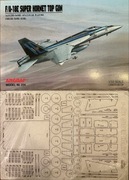 F/A-18E Super Hornet+lasery MS Model