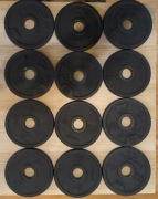 Talerze do treningu siłowego Corength żeliwny 1 kg / 28 mm - 12 sztuk