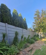 Ogrodzenia betonowe Strzegom 