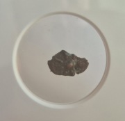 Biblijna moneta - Wdowi grosz - Widow's mite - grading NGC 