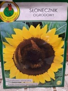 Słonecznik ogrodowy 