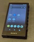 Sony Walkman NW-A100TPS