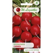 W.LEGUTKO Rzodkiewka Carmen 10g