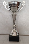 Puchar statuetka [3]