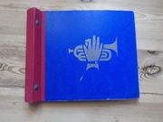 Etui klaser segregator na płyty winylowe winyle LP 10"