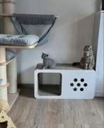 ECO drapak dla kota DOMEK XXL z drewnianym frontem od Kocie Sprawki