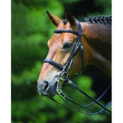 Waldhausen ogłowie Wembley EQUKAMELA ogłowia