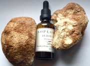 SOPLÓWKA prosto od Chłopa. Wodno - Glicerynowy ekstrakt podwójny 50 ml