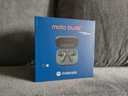 Słuchawki Motorola Moto Buds+ by Bose (beżowe, nowe, gwarancja do 03.2027)