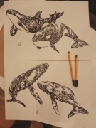  Rysunek: wieloryby i orki - b. tech. A3 250g