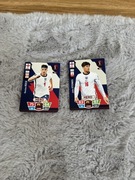 karty FIFA world cup qatar2022 Anglia