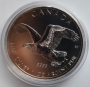 Srebrna moneta 5 DOLLARS Orzeł Bielik 2014 - 1 oz uncja srebro. Czytaj opis