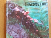 Grzyby i las - Grzywacz