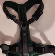 Szelki dla psa hunter