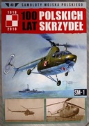 100 Lat Polskich Skrzydeł, nr 40, SM - 1