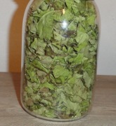 Liść katalpy suszony 25g katalpa