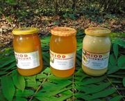 Zestaw miodów 3x wielokwiat spadź nektarowo-spadziowy odporność witaminy