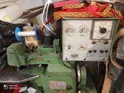 zawijarka brzegów sagita