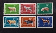 Znaczki Bułgaria 1974 fauna ssaki