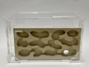 Formikarium dla mrówek Combo L