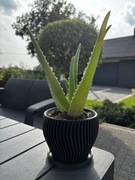 Doniczka dekoracyjna – JCDruk3D