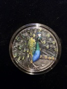 PEACOCK-Amazing Animals