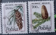 Polska 3164-3165 Owoce drzew iglastych 1991