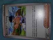 Black Belt's Training 97/131 7szt  